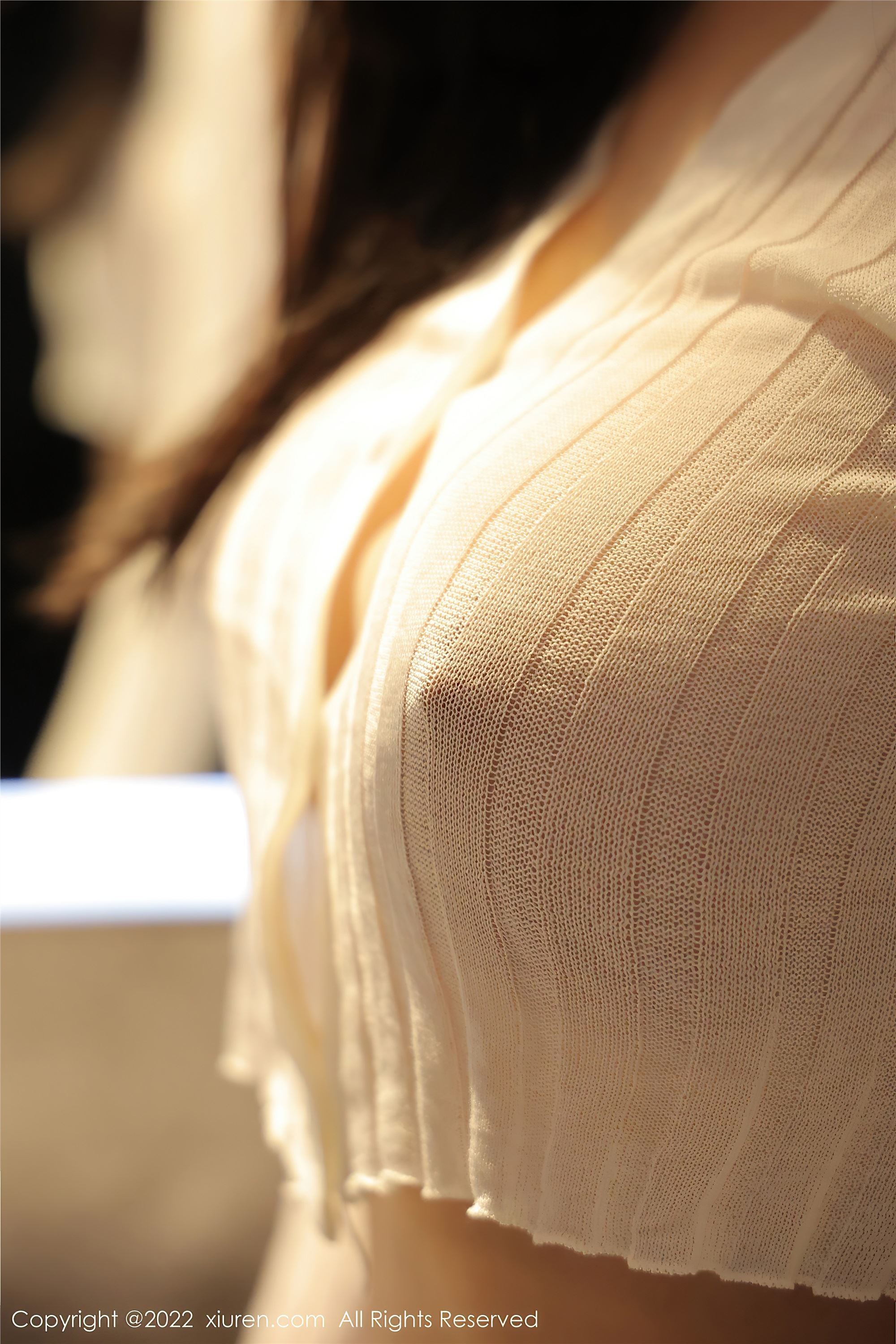 Xiuren秀人网 2022.03.18 NO.4737 顾乔楠Cora